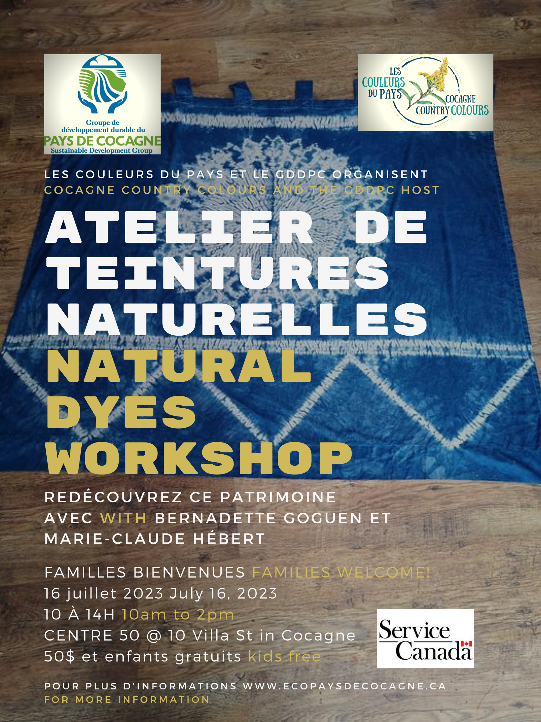 Atelier de teintures naturelles Natural dyes workshop
