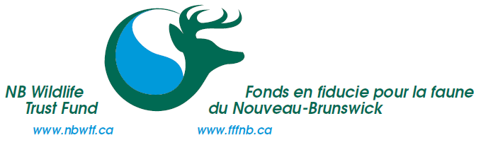 Nouveau logo FFFNB 2017